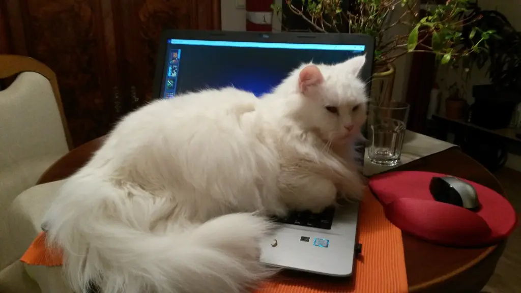 Image from Kasimir