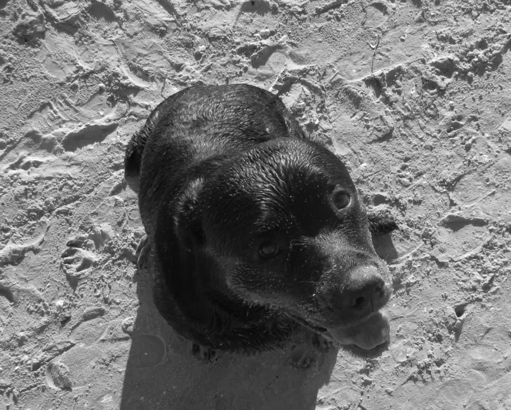 Image from Melly