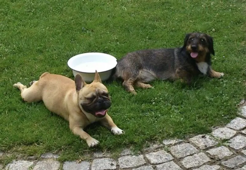 Condolence image of Jana und Aaron 