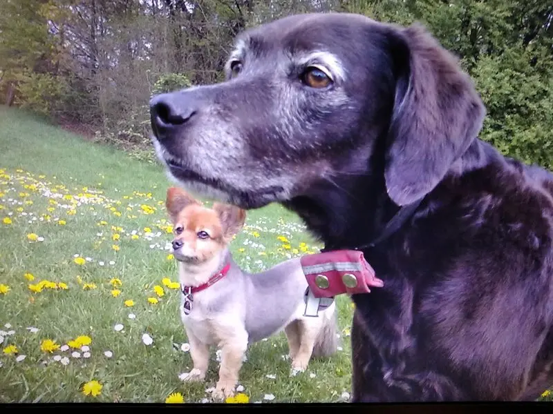 Condolence image of Erika