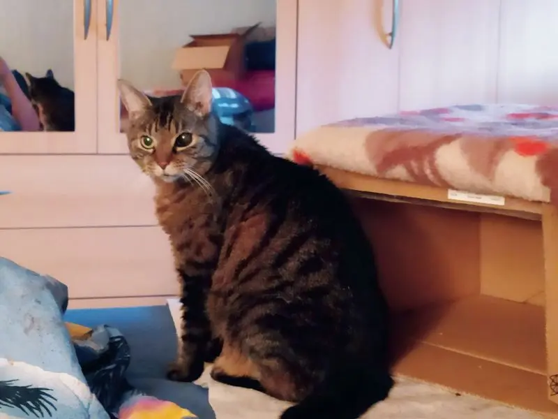 Condolence image of Rudolf+Mau