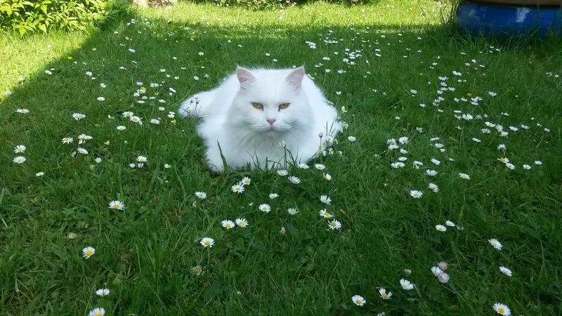 Condolence image of Brunhilde mit Kasimir tief im Herzen