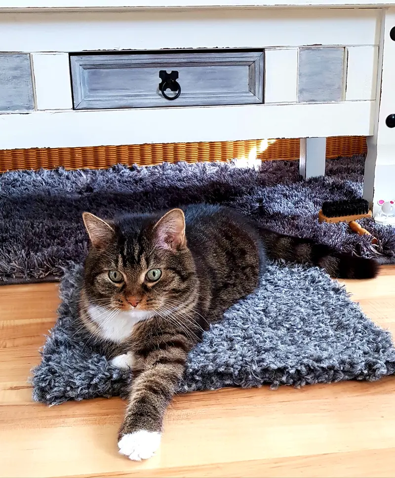 Condolence image of Mama's und deine Schnuppe