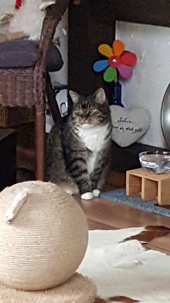 Condolence image of Kerstin