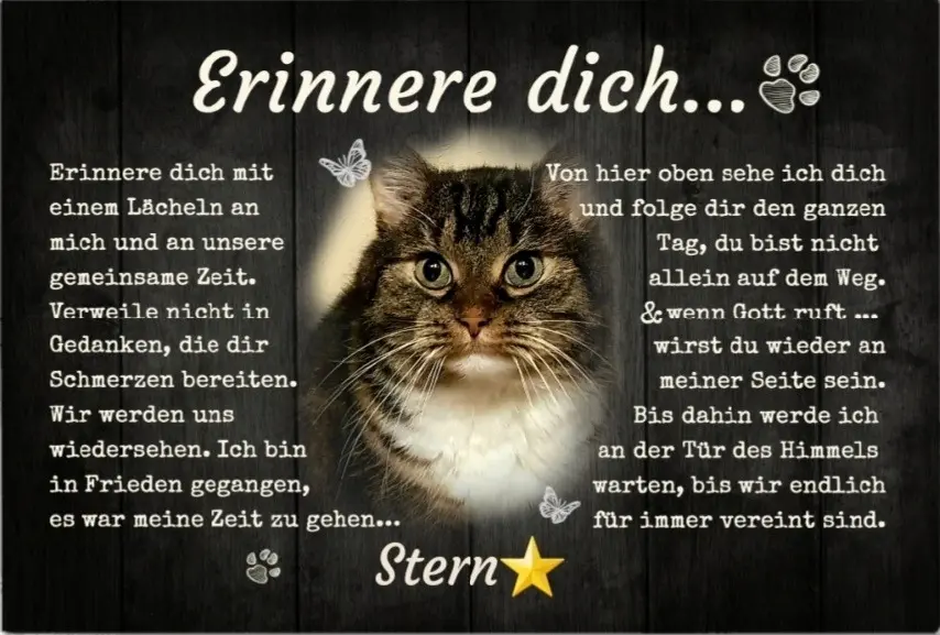 Condolence image of Kerstin mit Schnuppe