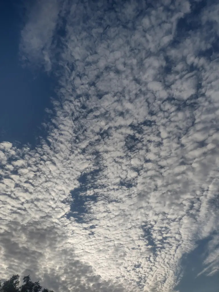 Condolence image of Corinna mit Emma, Pummelchen und anderen Sternleine im Herzen