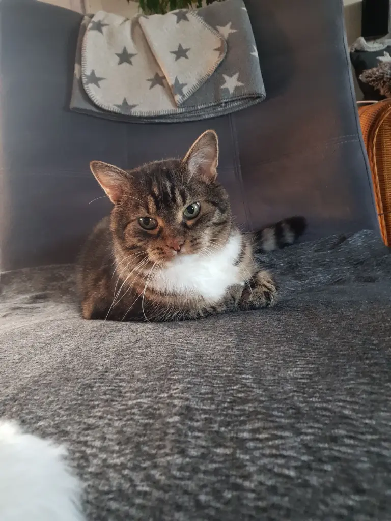 Condolence image of Kerstin