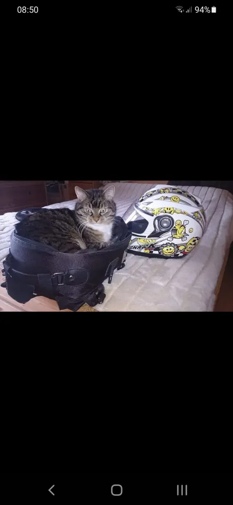 Condolence image of Marion