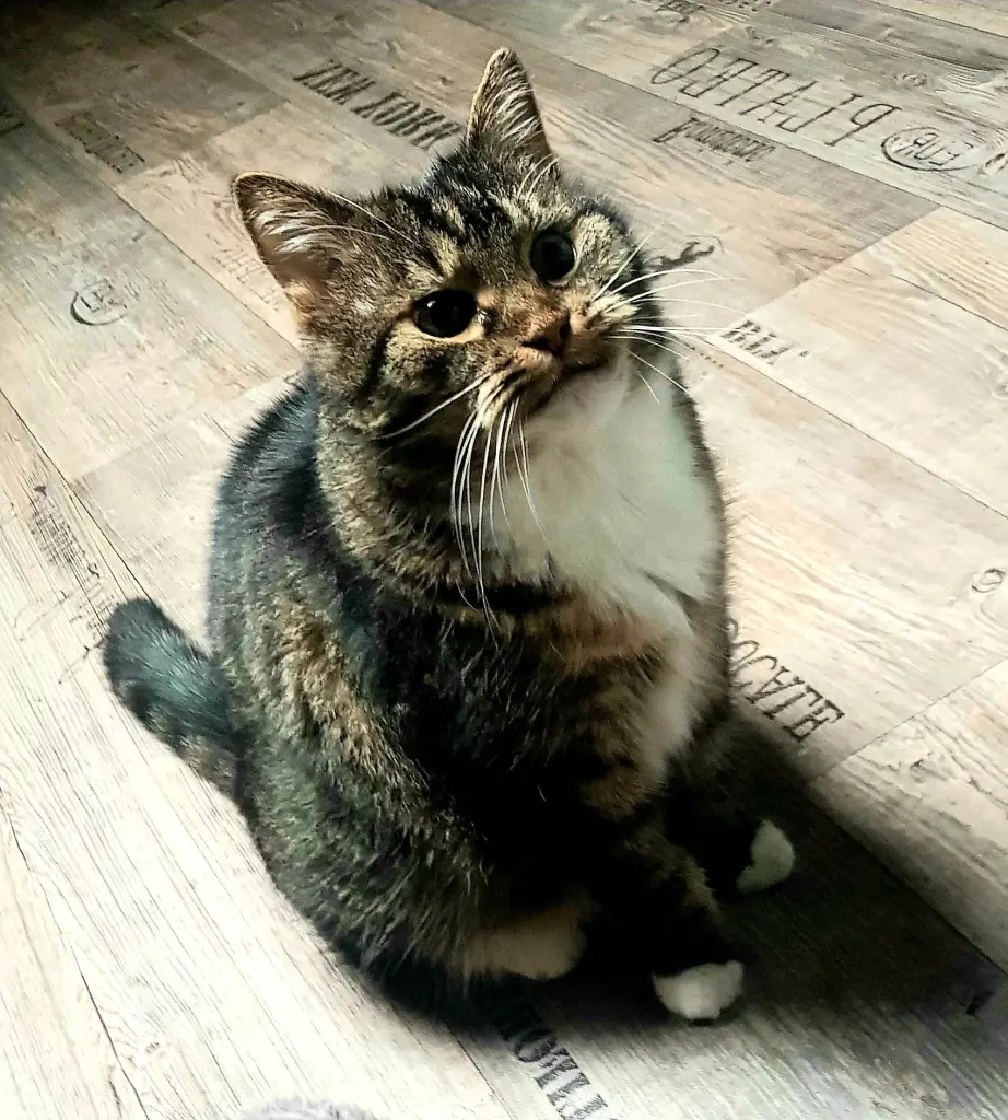 Condolence image of Kerstin