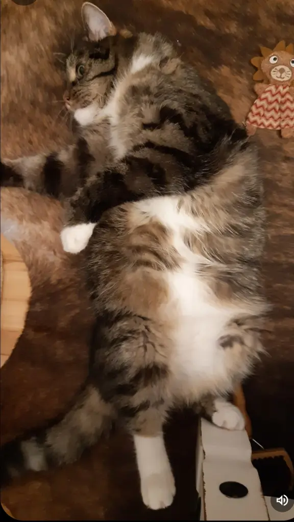 Condolence image of Marion