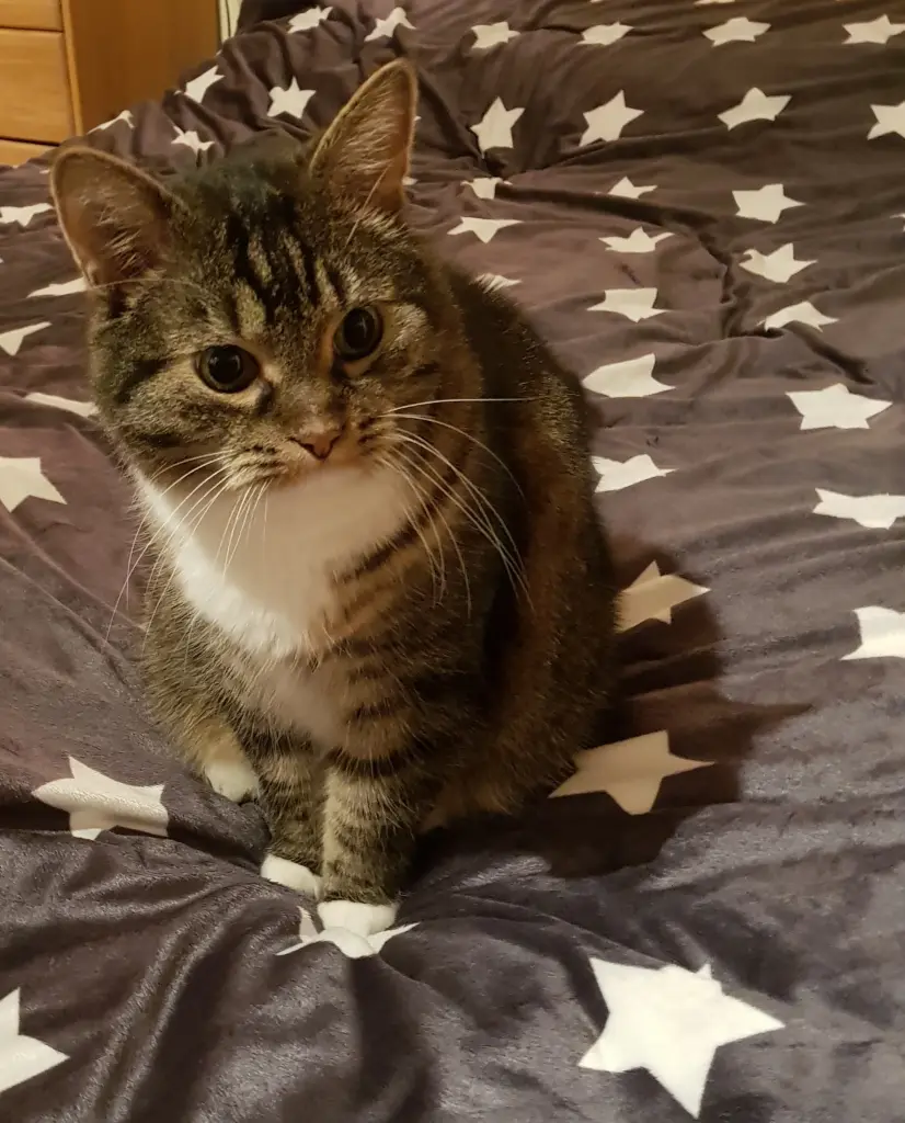 Condolence image of Kerstin