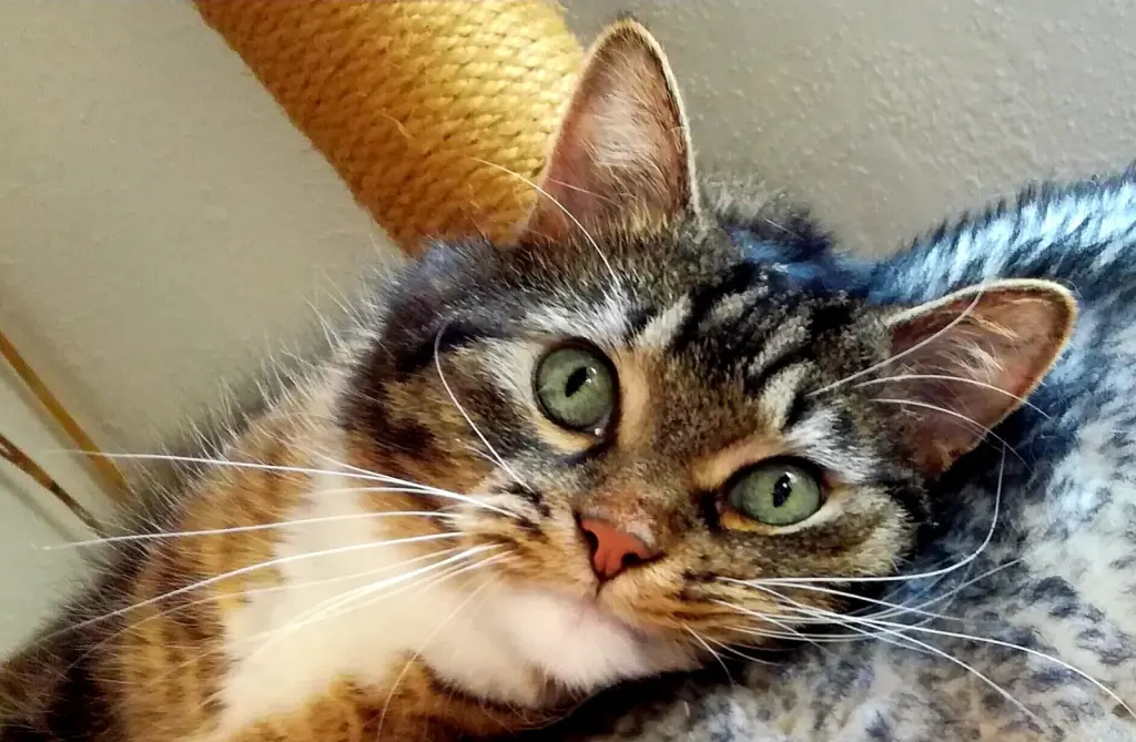 Condolence image of Marion