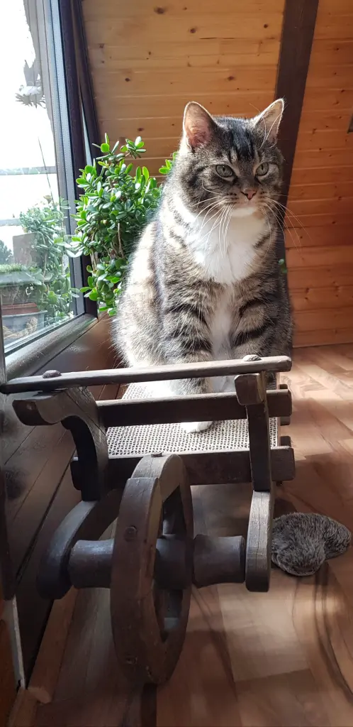 Condolence image of Kerstin