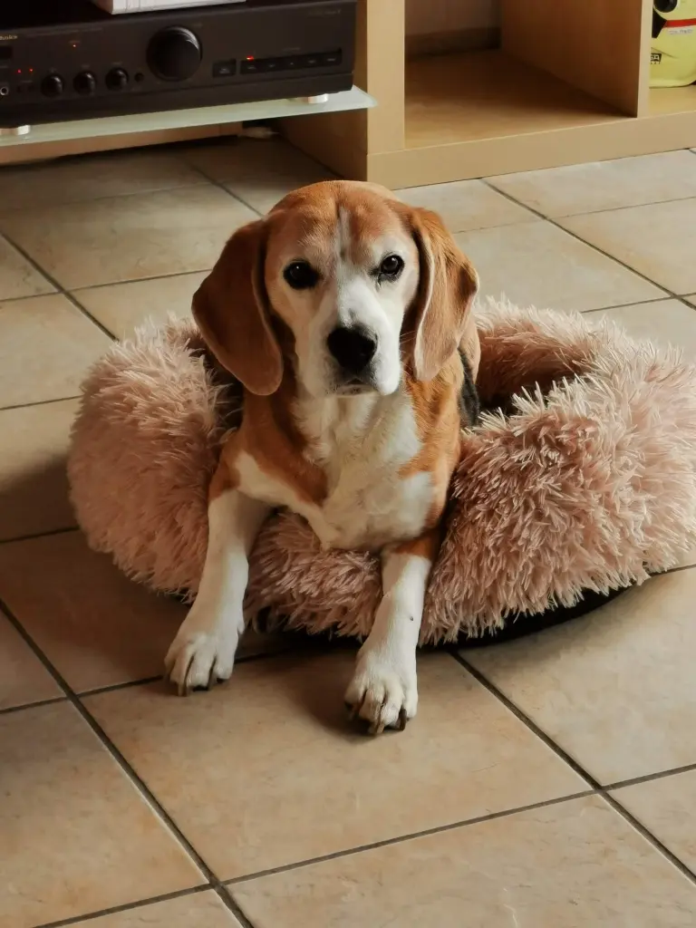 Image from Max