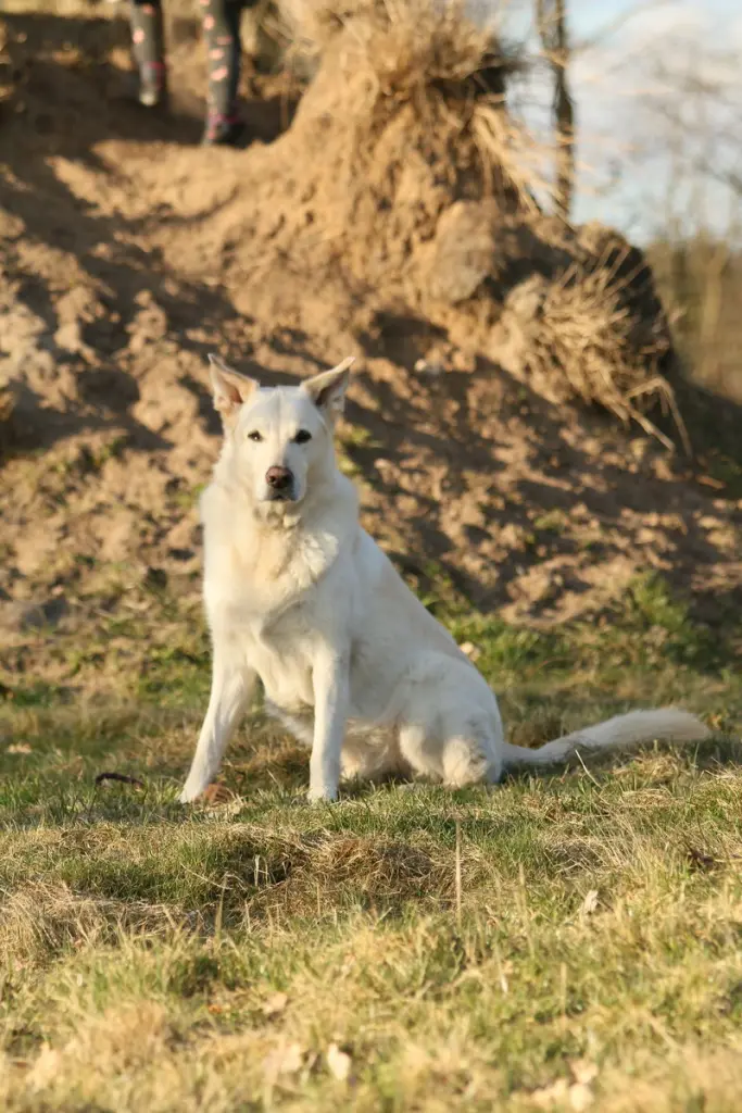 Condolence image of Elke