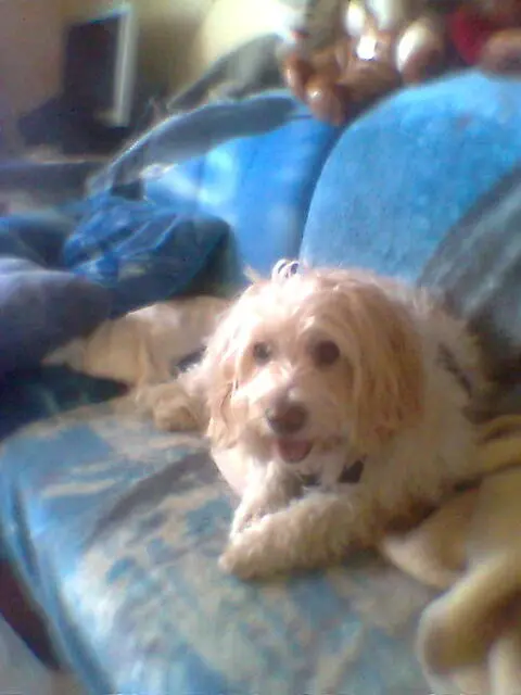 Image from Sissi