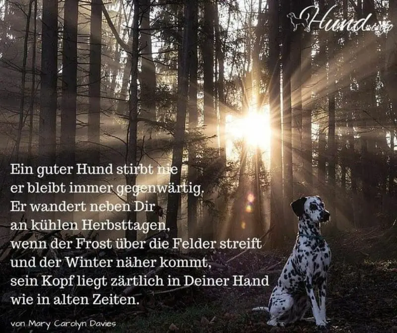 Andachtsbild von Andrea mit Minki im ❤ gest.19.10.2020