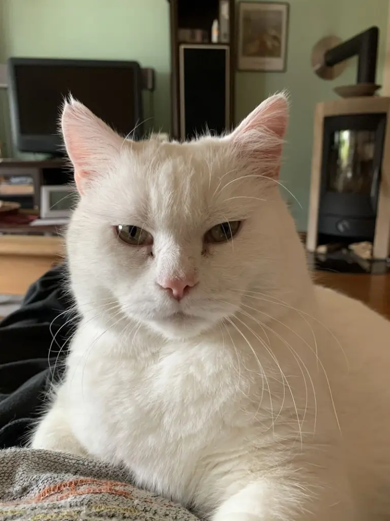 Andachtsbild von Werner  Bauer 