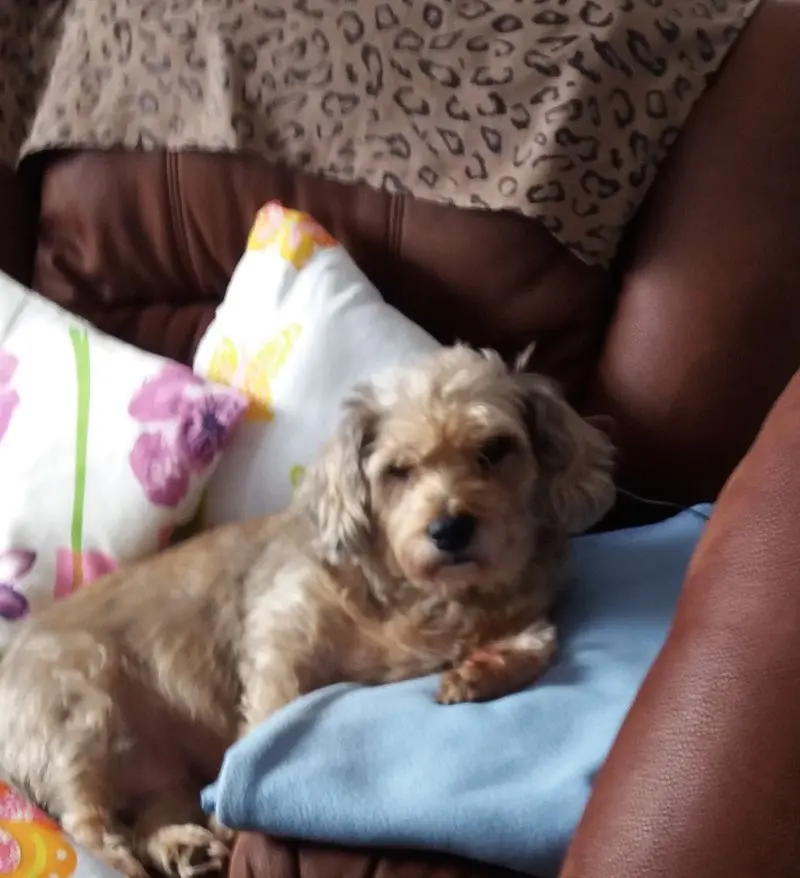 Andachtsbild von Renate mit Gina 25.11.20 Verst.