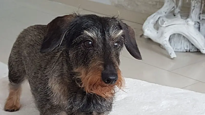 Andachtsbild von Marco Feierstein