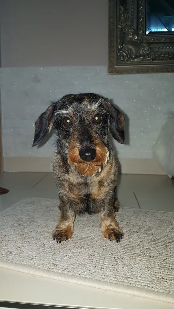 Andachtsbild von Mami