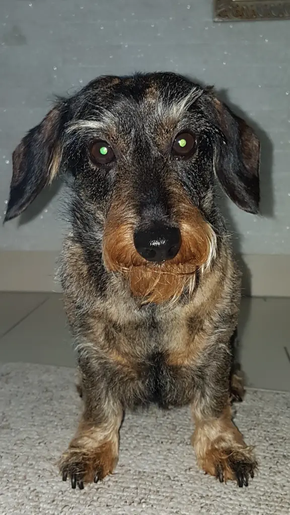 Andachtsbild von Mama