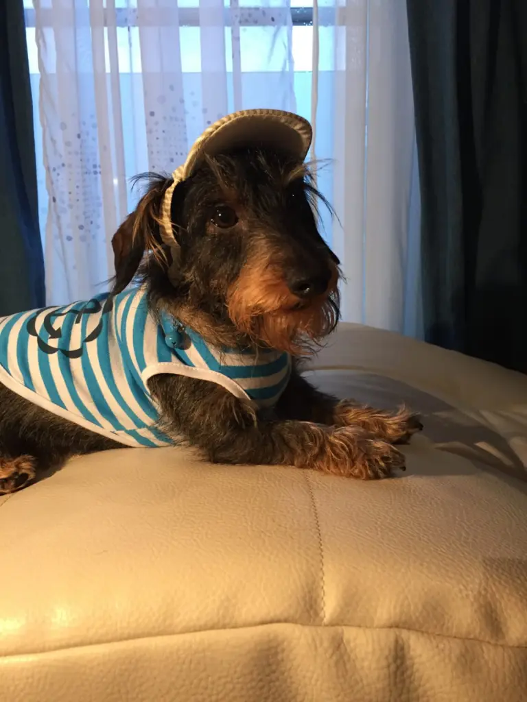 Andachtsbild von Mama