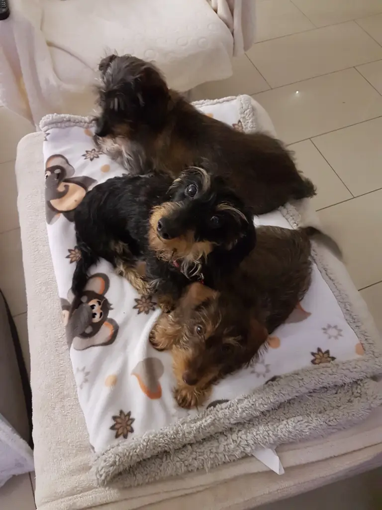 Andachtsbild von mama