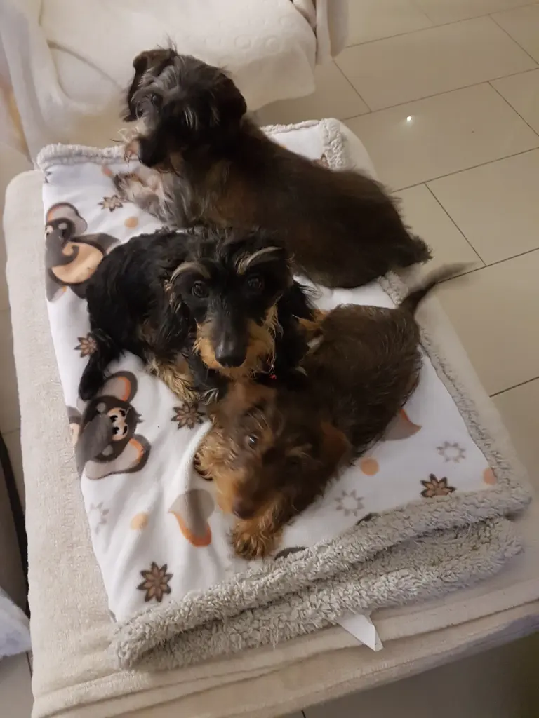 Andachtsbild von Unbekannt