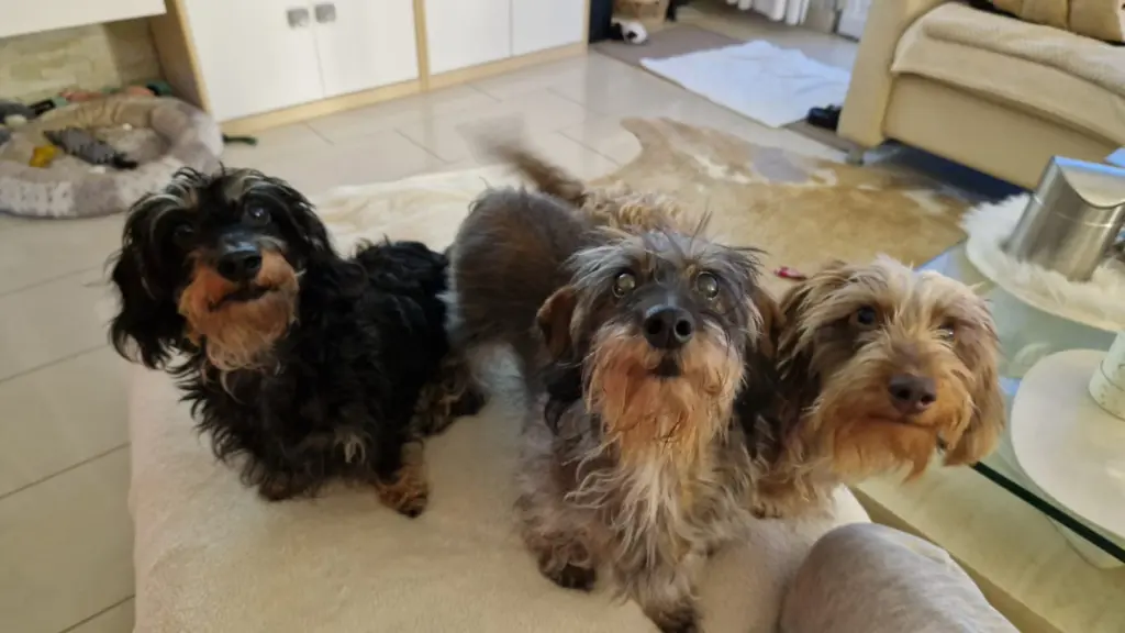 Andachtsbild von Unbekannt