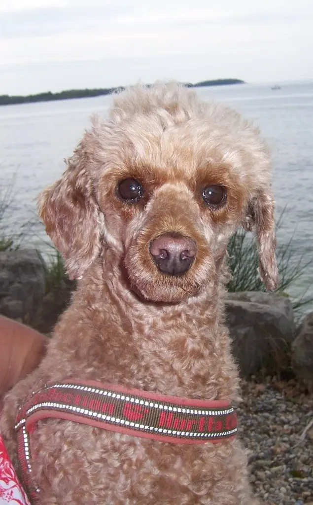 Condolence image of Hubert