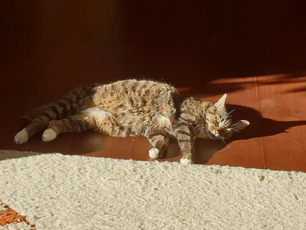 Andachtsbild von Nadine