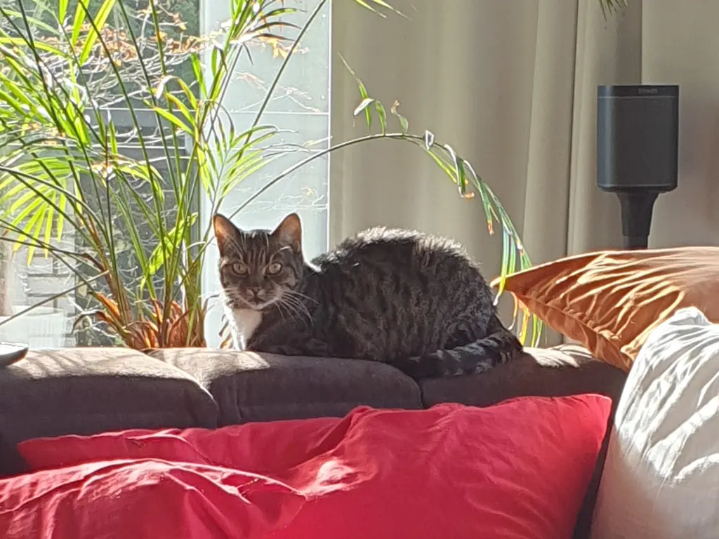 Bild von Leyla