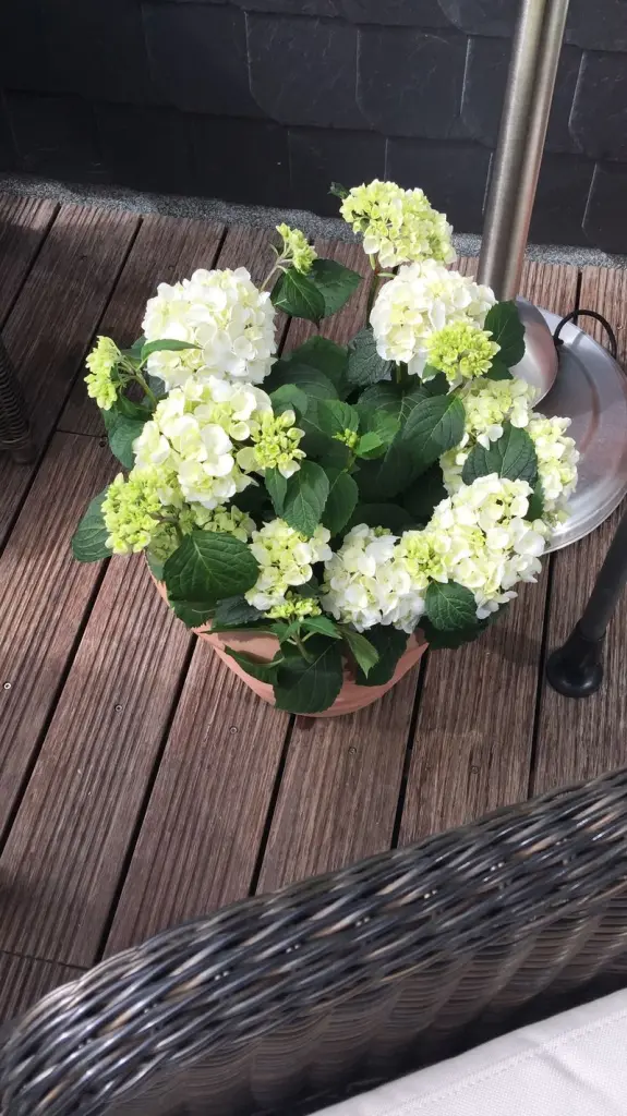 Condolence image of Michael