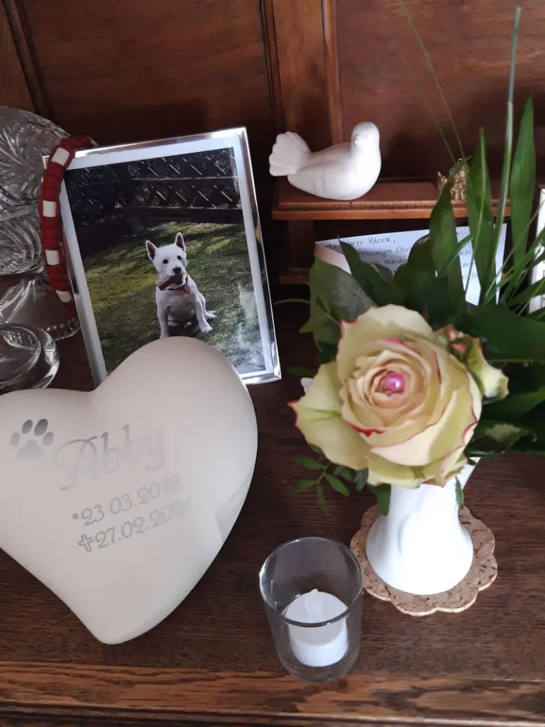 Condolence image of Wolfgang und Carsten 