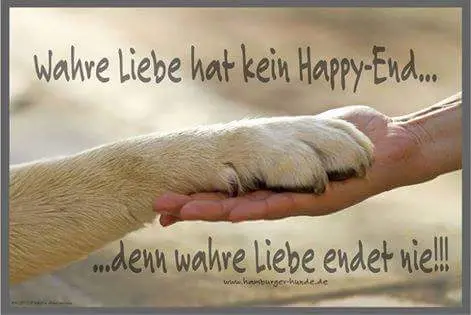 Condolence image of Elke