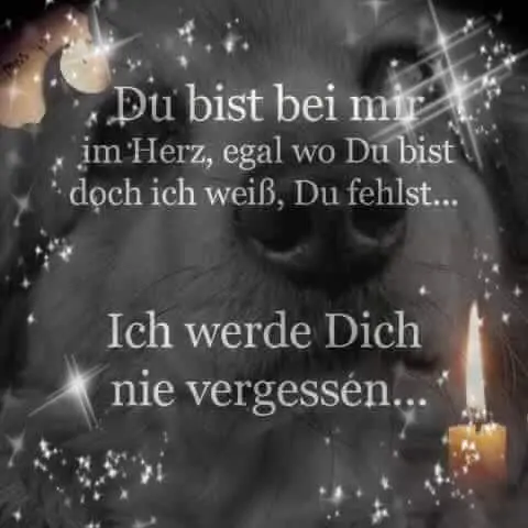 Condolence image of elke