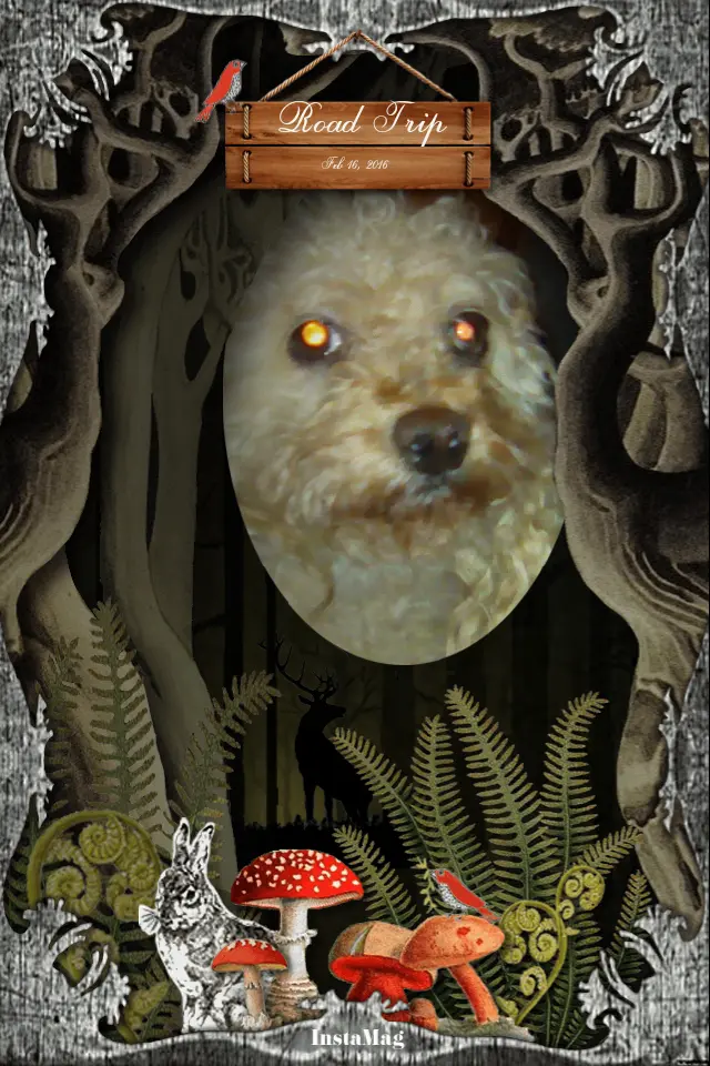 Image from Pia