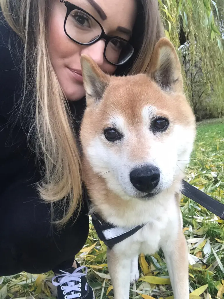 Image from Okami