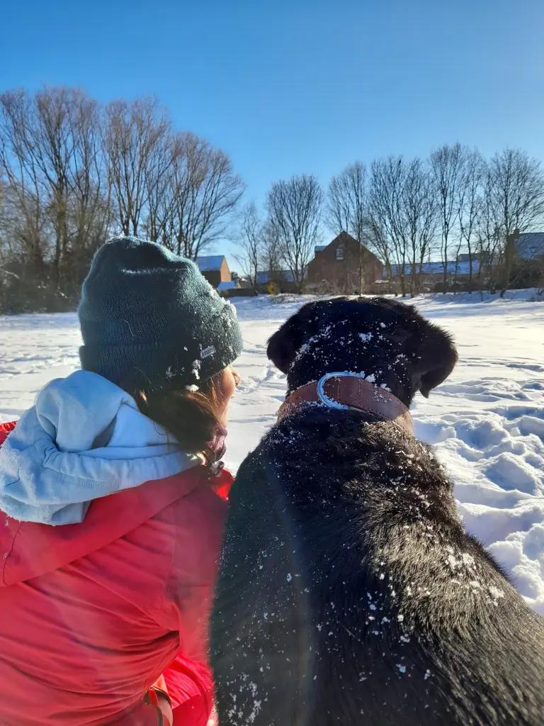 Image from Pumba