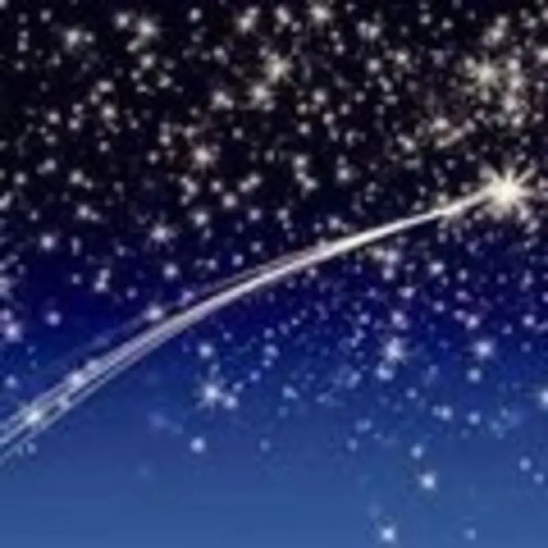 Condolence image of Evelyn