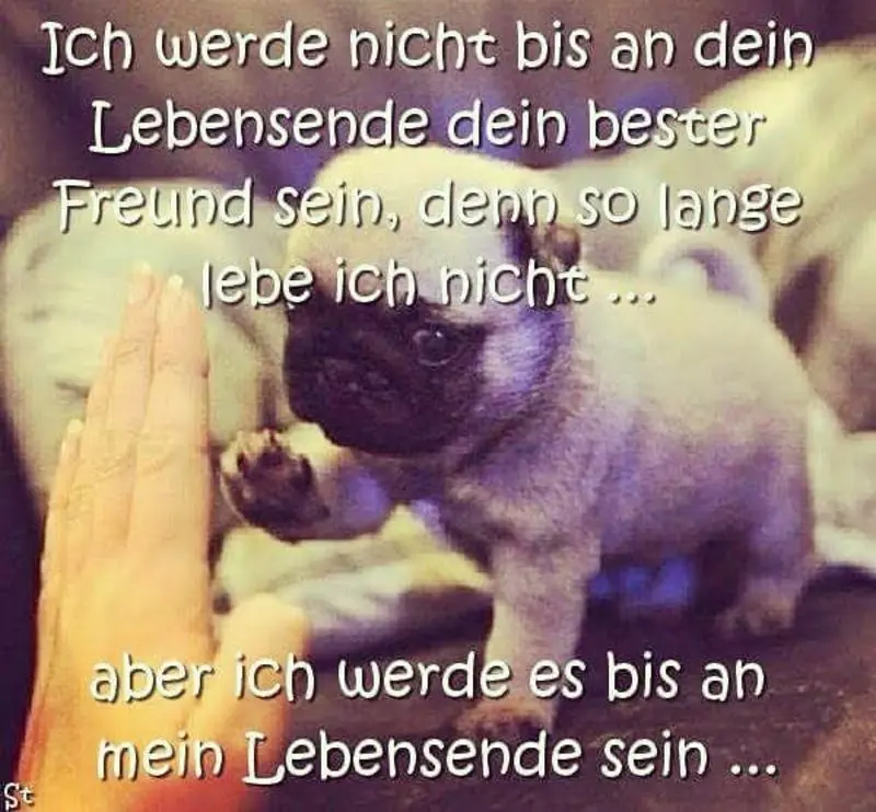 Andachtsbild von ❤