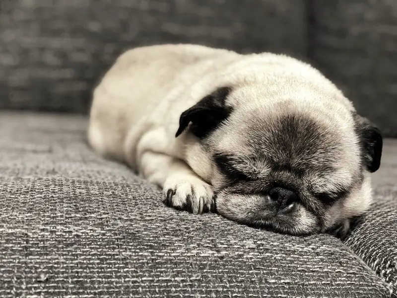 Andachtsbild von Nadja Pakulski