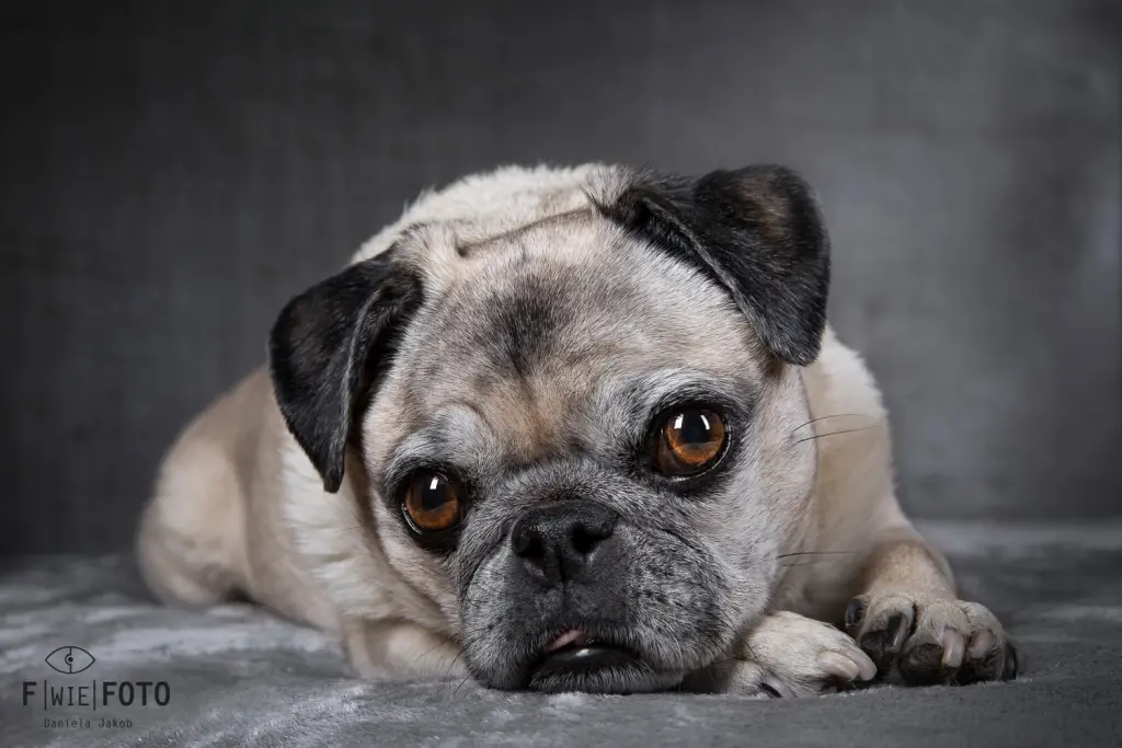 Andachtsbild von Daniela