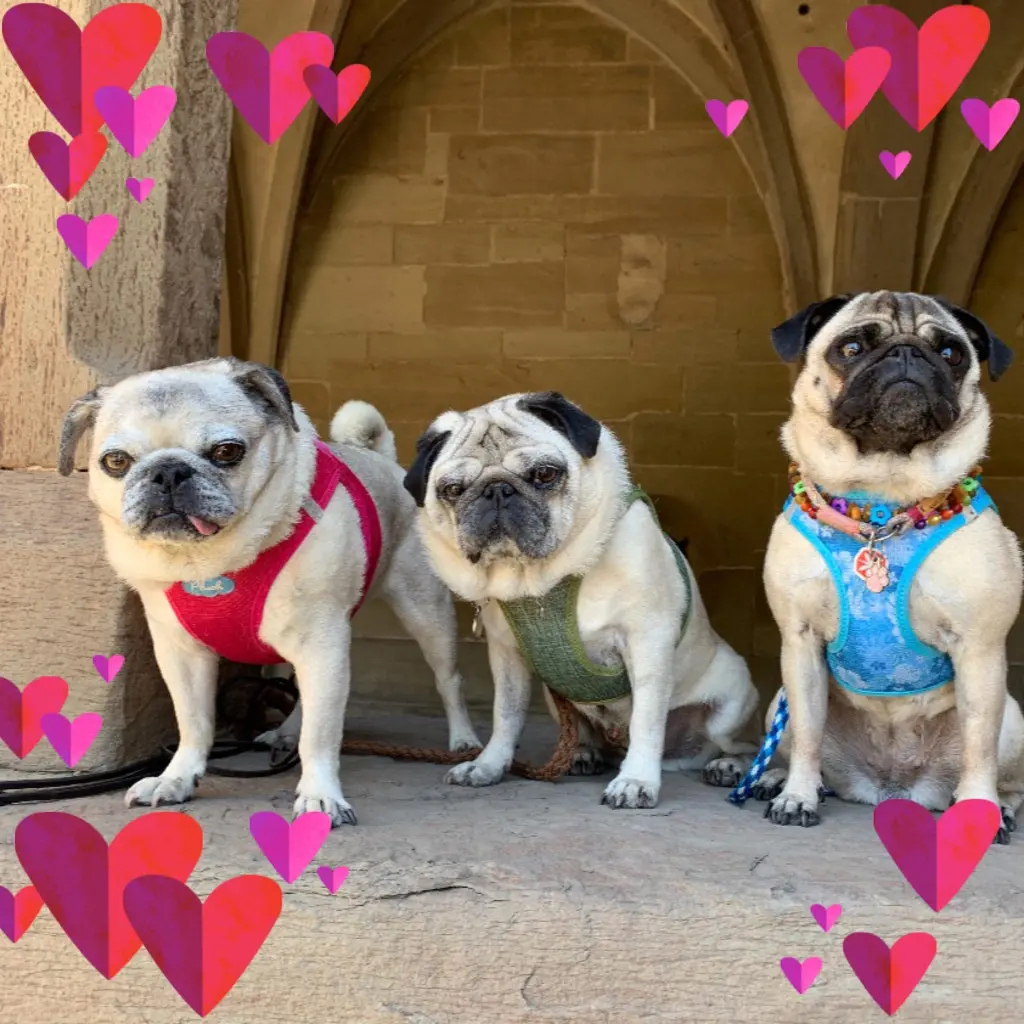 Condolence image of Andrea