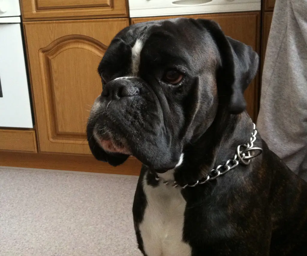 Condolence image of Marlies