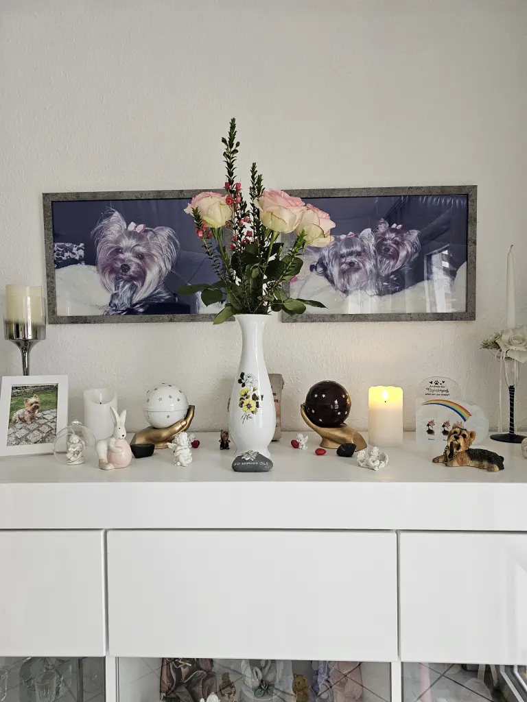 Condolence image of Ilona