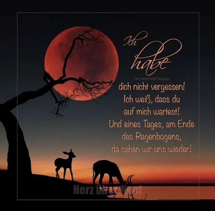 Condolence image of Deine Mama