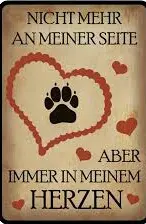 Condolence image of Snoopy ❤Pünktchen 