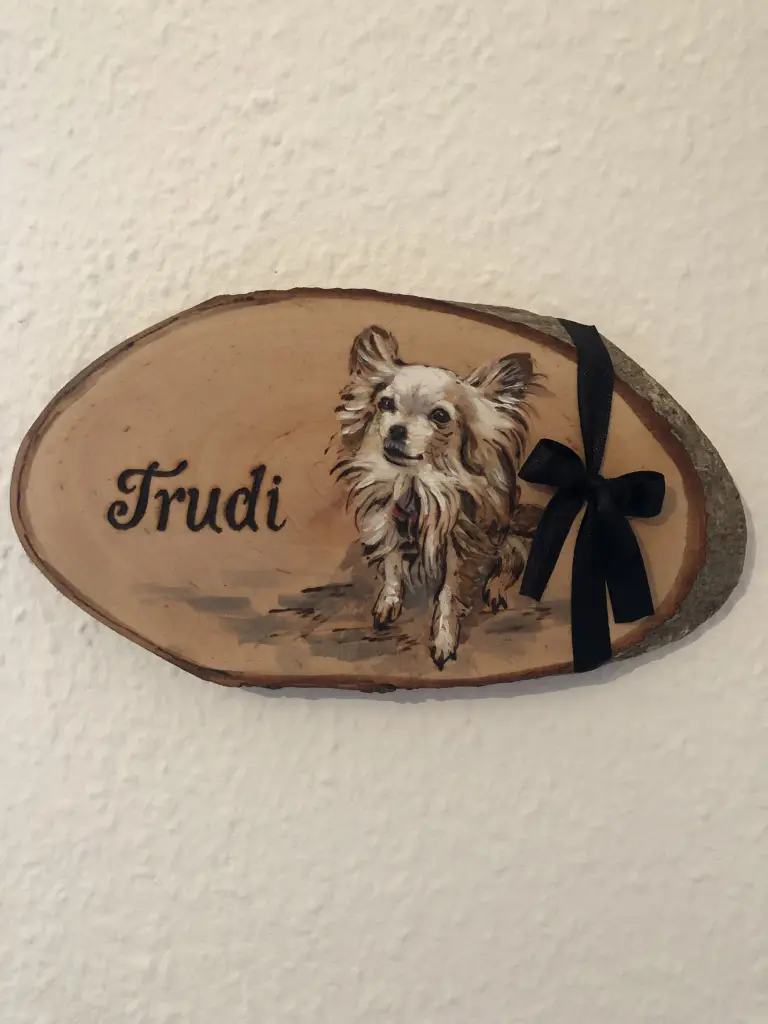 Image from Trudi
